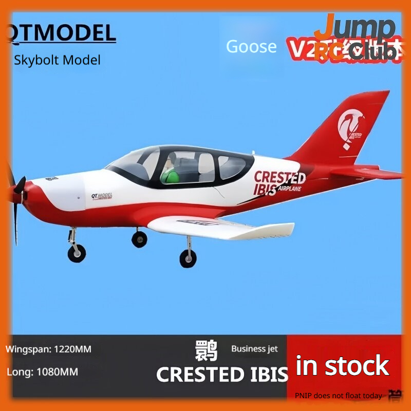 Rc Hobby Experts - Aereo Telecomandato Modello QT, Aeroplano Anfibio
