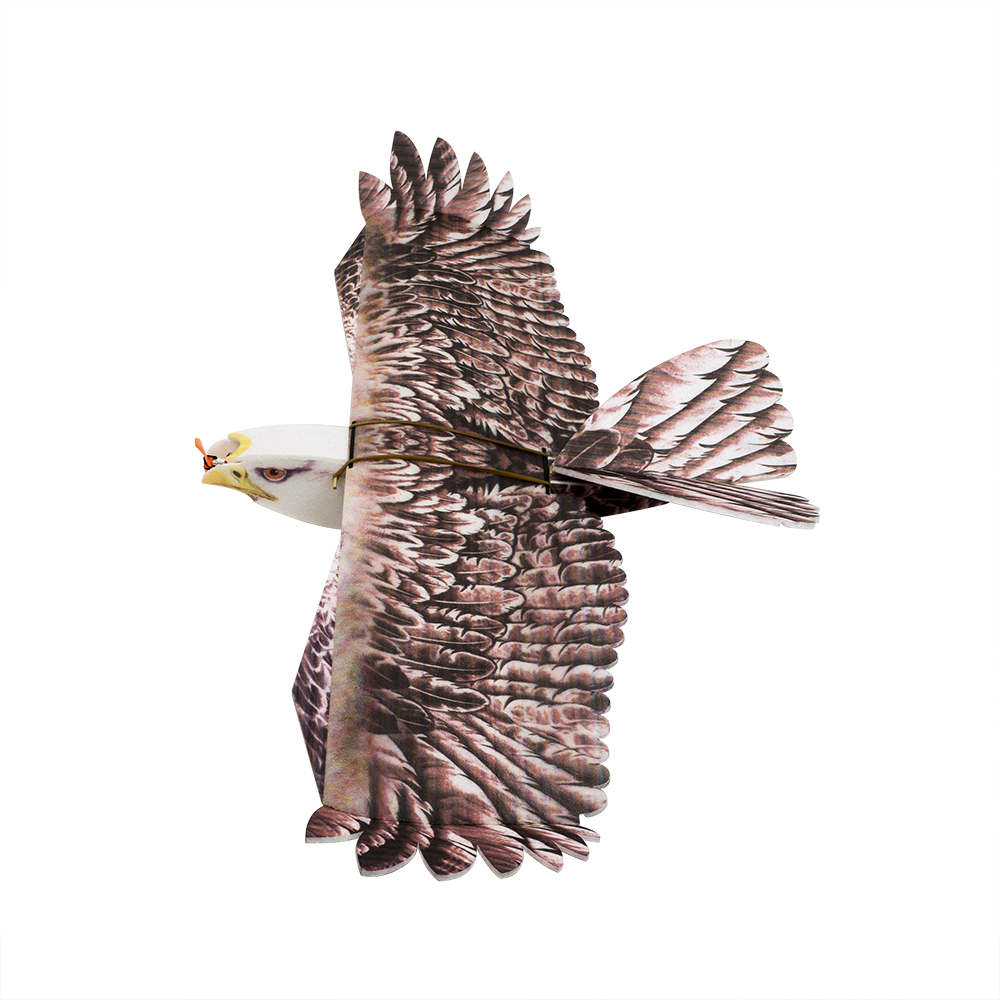 Rc Hobby Experts - DW Hobby Eagle II EPP Aereo