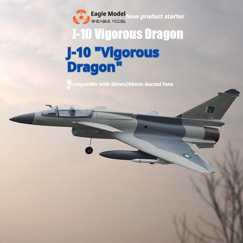 Aereo RC Rheagle Modello J-10  - Rc Hobby Experts recensione e prezzo