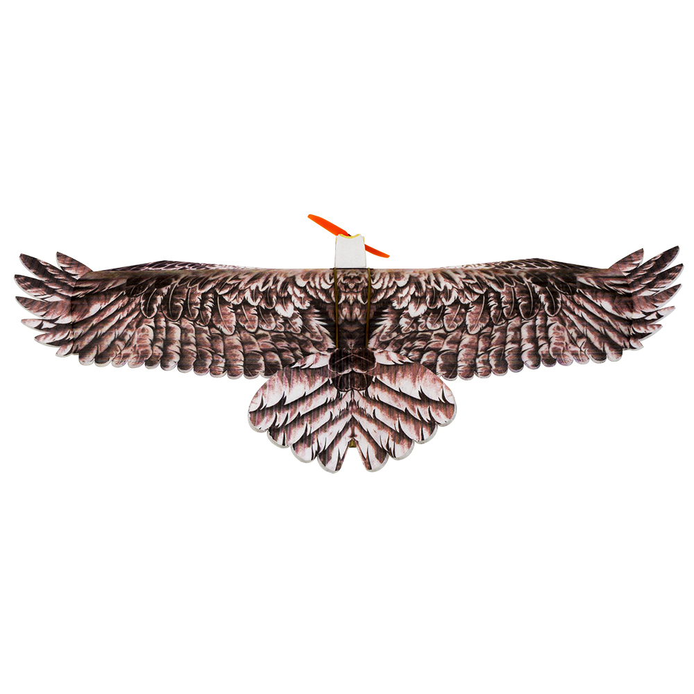 DW Hobby Eagle II EPP Aereo RC - Rc Hobby Experts recensione e prezzo